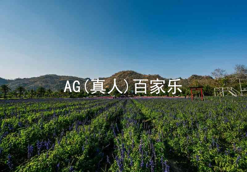 AG(真人)百家乐